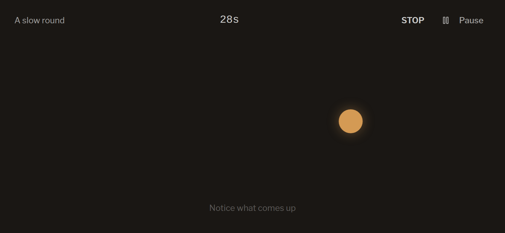 The dot room: the screen goes dark and a warm dot leads your eyes, with Stop always visible